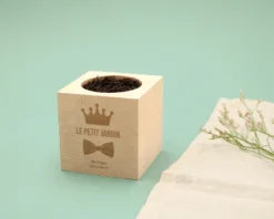 Ecocube Personnalisé - Papa Royal
