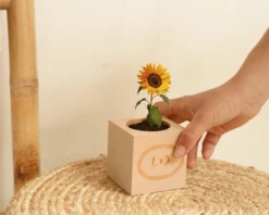 Ecocube Personnalisé - Message