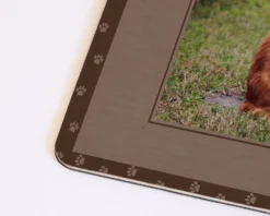 Tapis Pour Chat - Photo