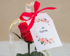 Rose Sous Cloche Lumineuse Avec Carte Personnalisable 7 Rose Sous Cloche Lumineuse Avec Carte Personnalisable -Cadeaux Boutique 2d200e437fbac07d365fc58ced05738eb064b3b465060804242f6287a9c431590