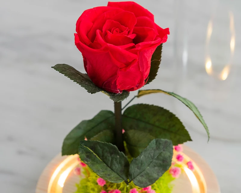 Rose Sous Cloche Lumineuse Avec Carte Personnalisable 1 Rose Sous Cloche Lumineuse Avec Carte Personnalisable