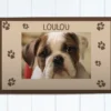 Tapis Pour Chien - Photo