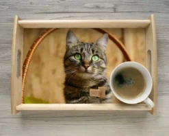 Plateau Photo -Cadeaux Boutique 83b01bd31d4190c10e007b3b81df7fafb95b68fed5655f8af153be53c3cd31831