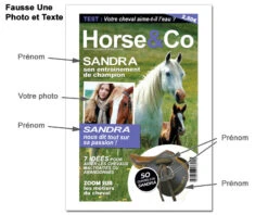 Fausse Une De Magazine - Cheval -Cadeaux Boutique 8dea153b35f5ba4c6b377386b9112d0982fcb62149aa27e29d7fab2e173927586