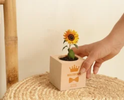 Ecocube Personnalisé - Papa Royal -Cadeaux Boutique 94f99c0c9648390be33cf90b772e37017de776af51c029166c77c62d84a640978