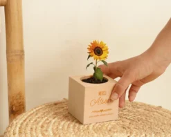 Ecocube Personnalisé - Maîtresse, Maître, ATSEM, Nounou