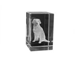 Le Presse-papiers Photo 3D -Cadeaux Boutique 9ebf412354478497b54bfe300cfd4b3b3faecaa6f35ab01d4549e1fb511c31320