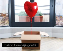 DUO Ballon Cœur Hélium Et 2 Mugs Personnalisables - LOVE -Cadeaux Boutique bb827f3cafd30df9b1dfe6f006cce171ddb79e3939fbf393866018f1065127574