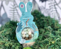 Ballotin De Chocolats - Lapin De Pâques
