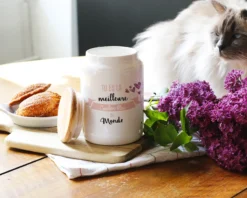 Pot à Biscuits Personnalisé - Meilleure Du Monde -Cadeaux Boutique d3b0f1e679a1c43328a88637e780b3eb232919e066c817db7f0dca390ffc36013