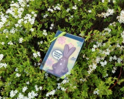 Lapin De Pâques En Chocolat Personnalisable -Cadeaux Boutique d6de4d85a6ca195bdaf7b05578cb7c45c6408b78d932eaa40cda54b42e0130431