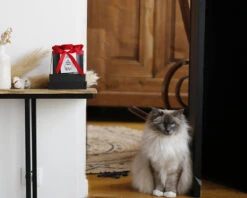 Boîte De Roses éternelles Personnalisée -Cadeaux Boutique ea09bd669bd6087f275297b2cb6973967d0abda9f571ae4119c19cd134a835950