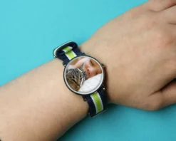 Montre Bleu Vert Photo