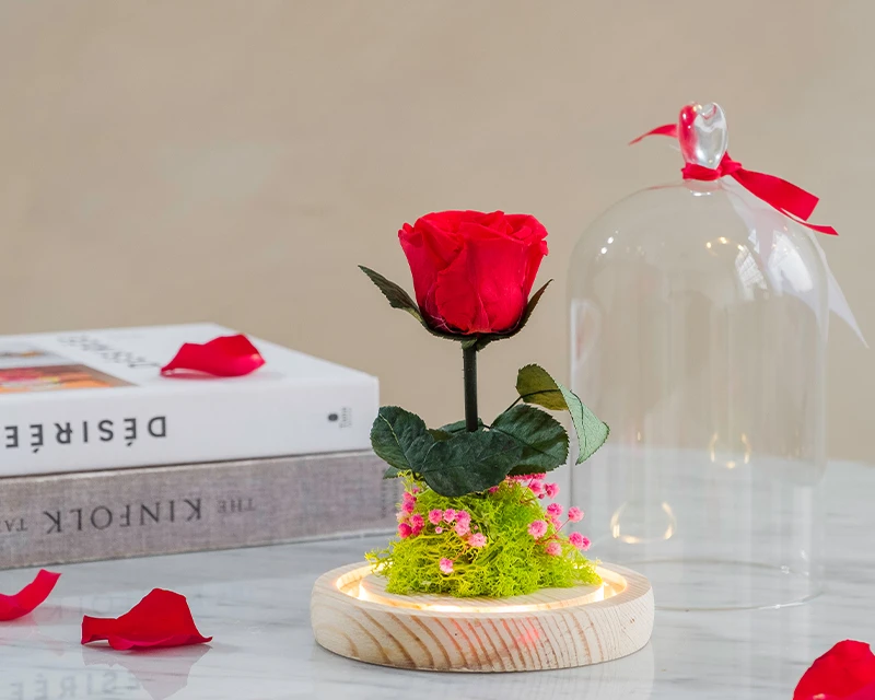 Rose Sous Cloche Lumineuse Avec Carte Personnalisable 3 Rose Sous Cloche Lumineuse Avec Carte Personnalisable – Image 3