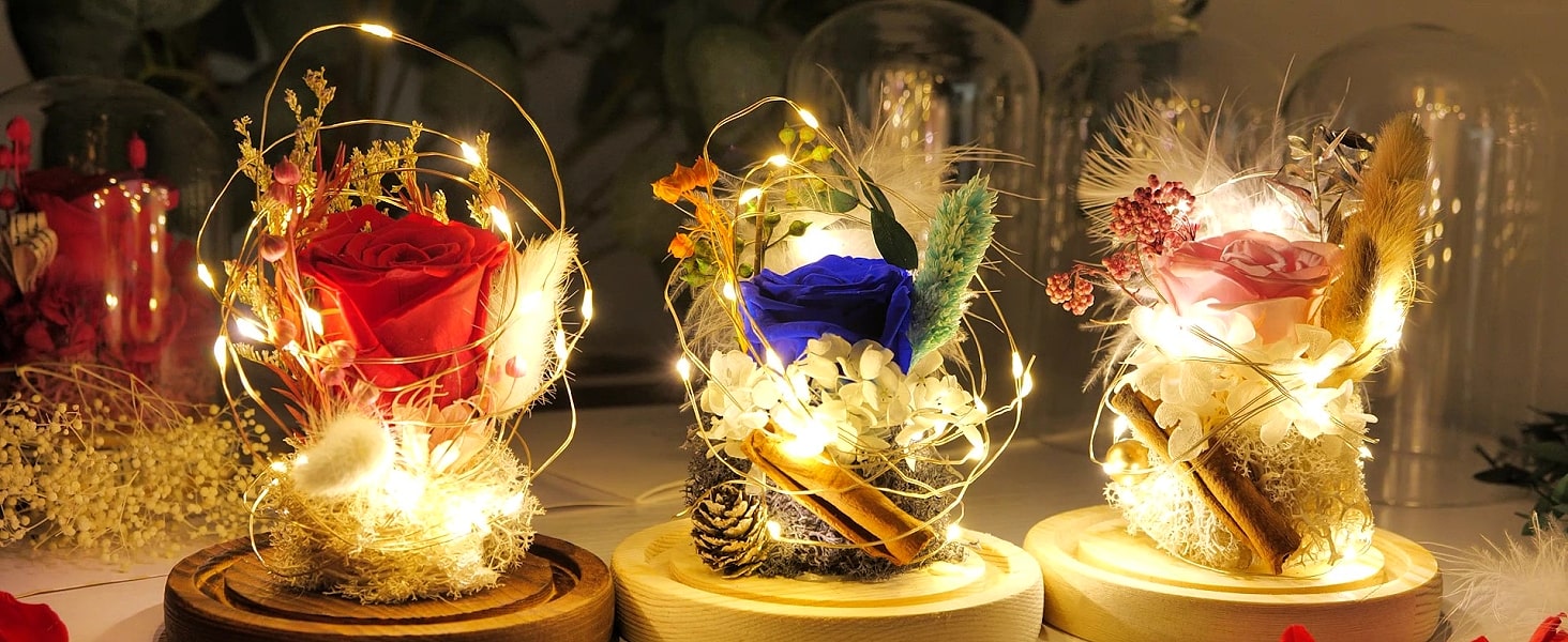 Cadeaux Boutique -Cadeaux Boutique 9f8a8e0f 2f6d 4964 b3af f4cd5f526123. CR001464600 PT0 SX1464 V1 min